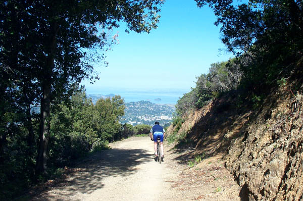 mount tamalpais mountain biking