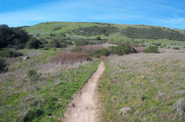 Wilder Ranch Mountain Bike Map